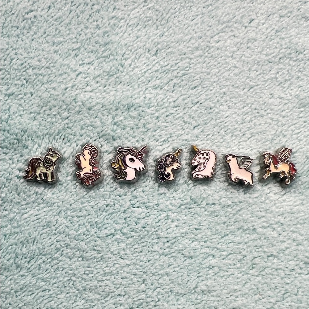 Floating Locket Charms